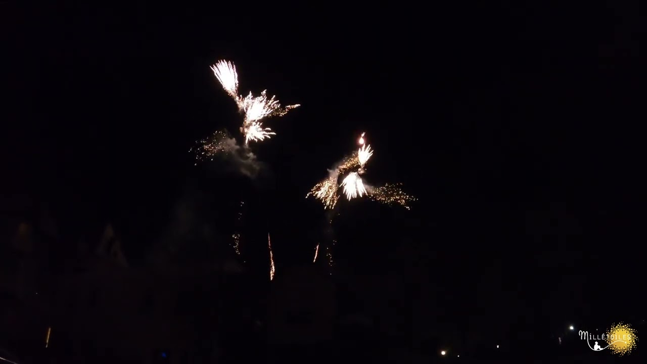 Feu d'artifice pour un événement professionnel en Ile-de-France