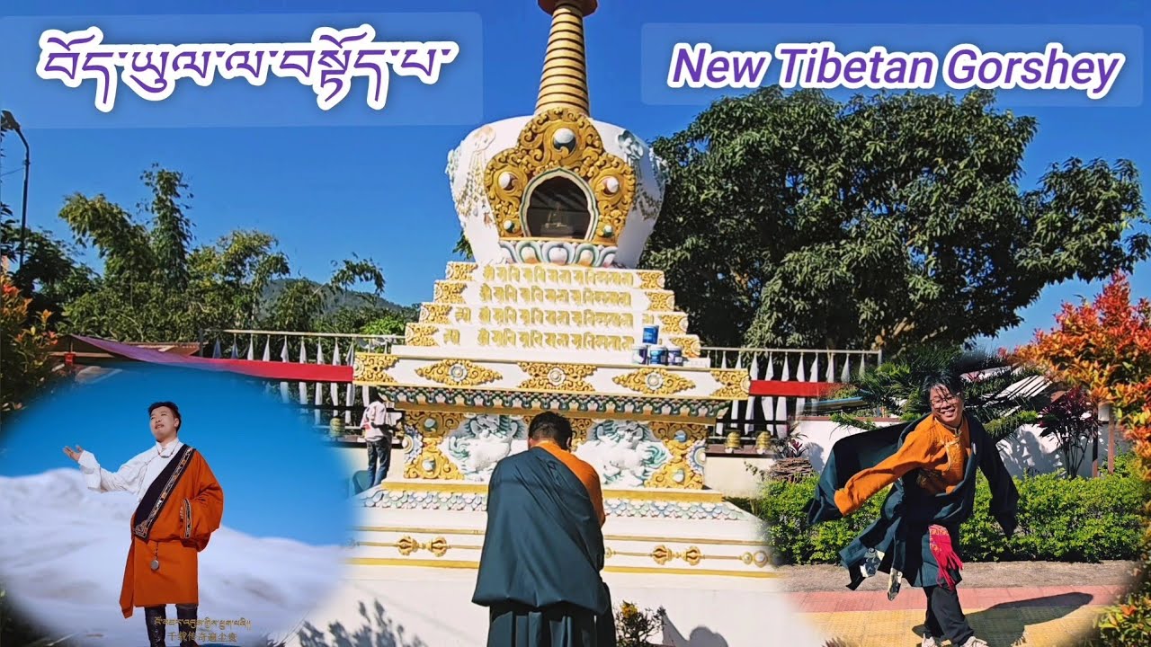 New Tibetan Gorshey [ བོད་ཡུལ་ལ་བསྟོད་པ་ ] tibetan#gorshey#dance#2026lhakargorshey#Newgorshey🥰