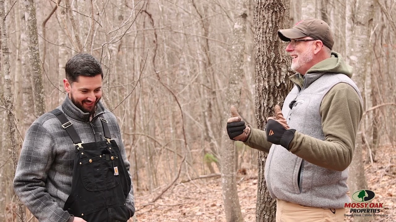 Timber Stand Improvement (TSI) overview!