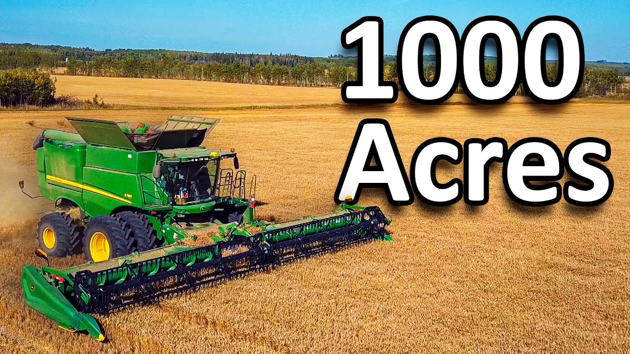 Harvesting Over 1000 Acres Of Wheat In One Week (Drone View)