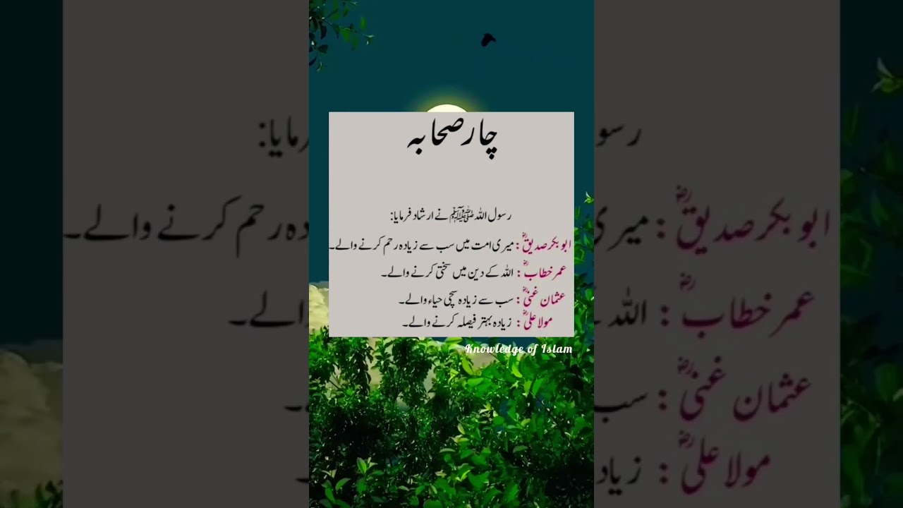 4 Sahaba |🥹🫀💓💗🥰❤️|#islamicviralshort #newshort #subscribemychannel #knowledgeofislam #loveallah