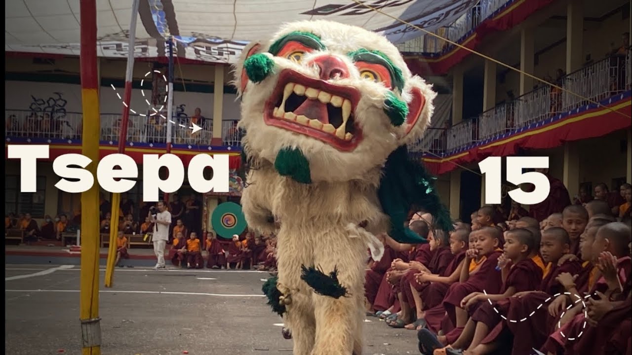 Losar Tsepa 15 at bylakuppe || #tibmhelha #tibetanvlogger #goldentemple #youtuber