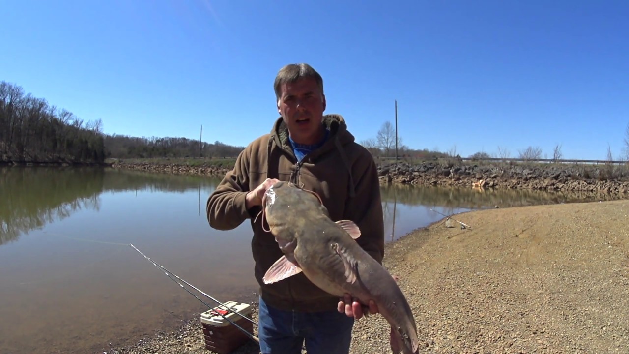 Hard Pulling Flathead