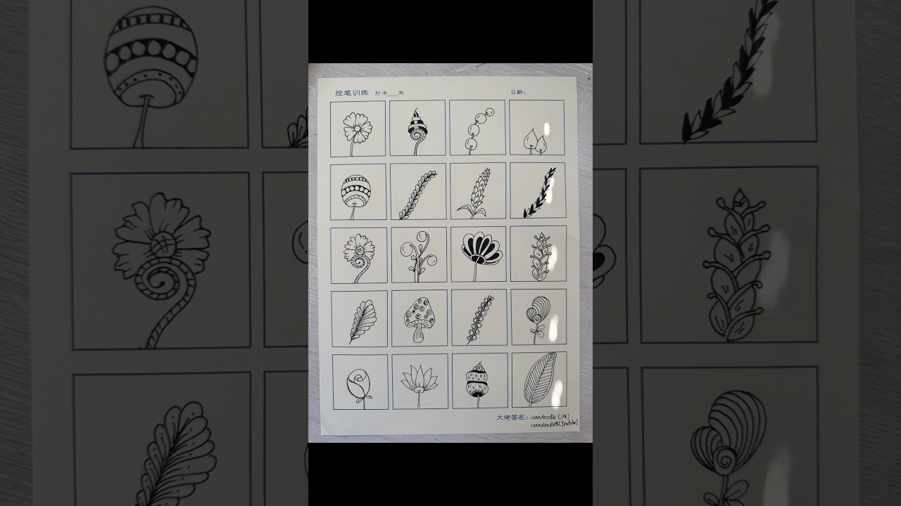 Zentangle flowers #zentangle #calm #flower #leaf #sketch #doodle #drawing #drawingtutorial #画画教学