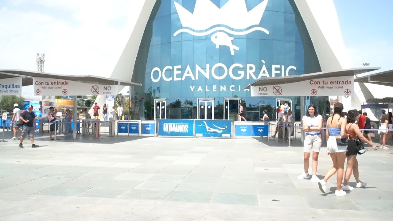 Oceanografic Valencia 30 07 2024