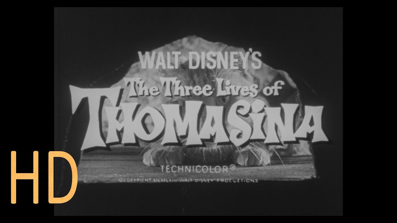 The Three Lives of Thomasina 1963 TV Spot Walt Disney HD Trailer Patrick McGoohan Cat