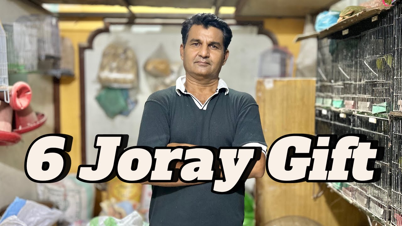 6 Joray Gift | Parinda Party & Others | 15/07/25 | North Karachi