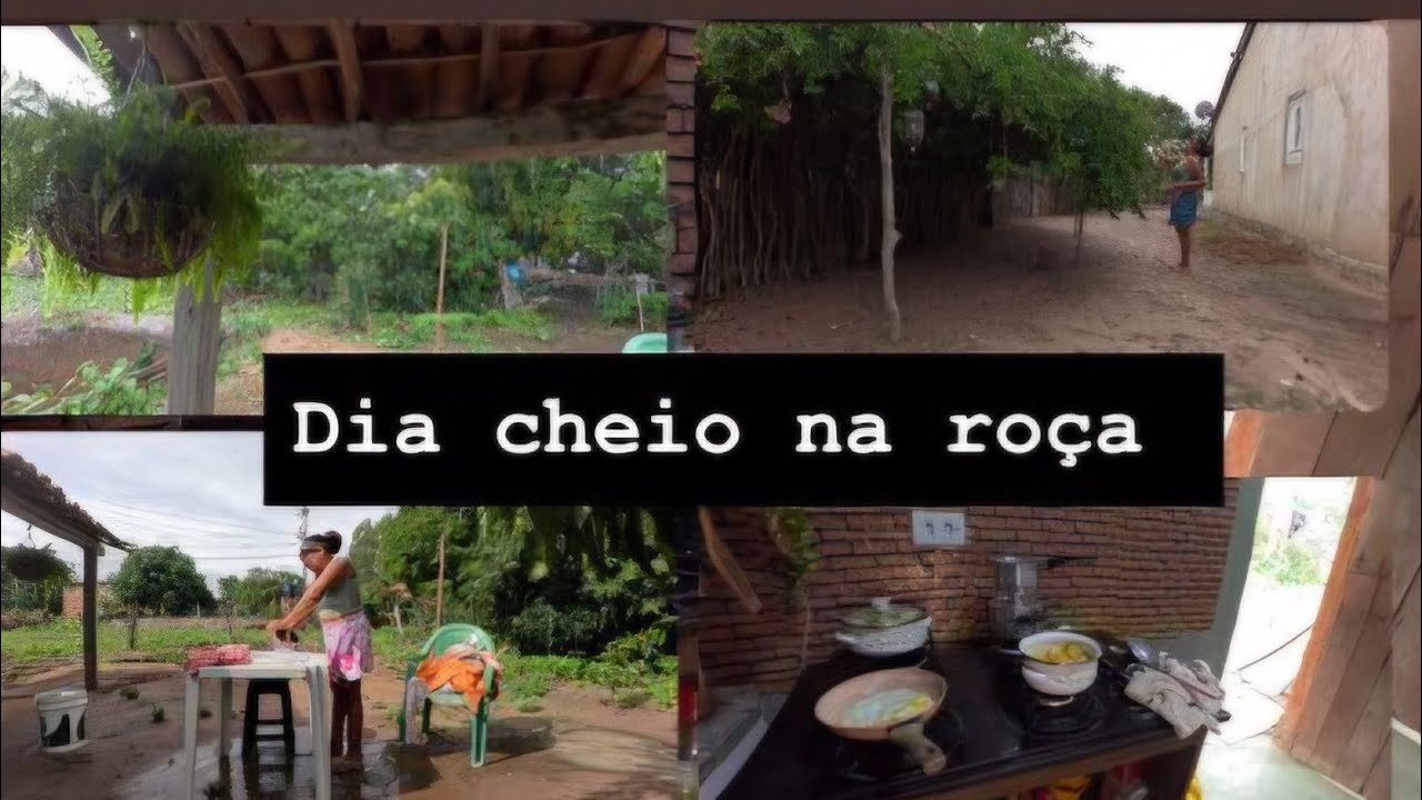 DIAS DE CHUVA/ COLHENDO FRUTAS/ ALMOÇO NO CAPRICHO/LAVEI ROUPA