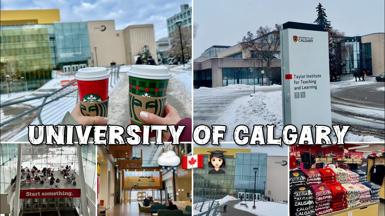 Snowfall Walk at the UCalgary ❄️🇨🇦 | Peaceful Winter Vibes in Canada | دانشگاهای  کانادا
