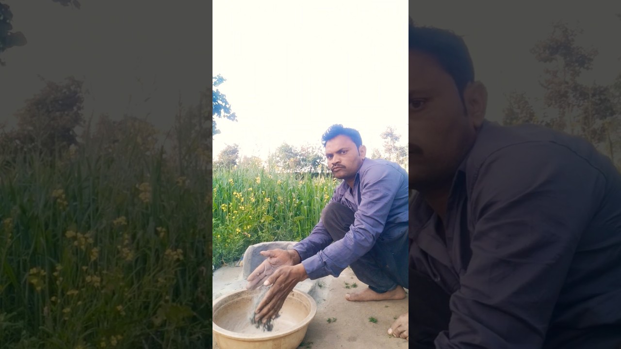 Upload short #bollywood #chula#choka