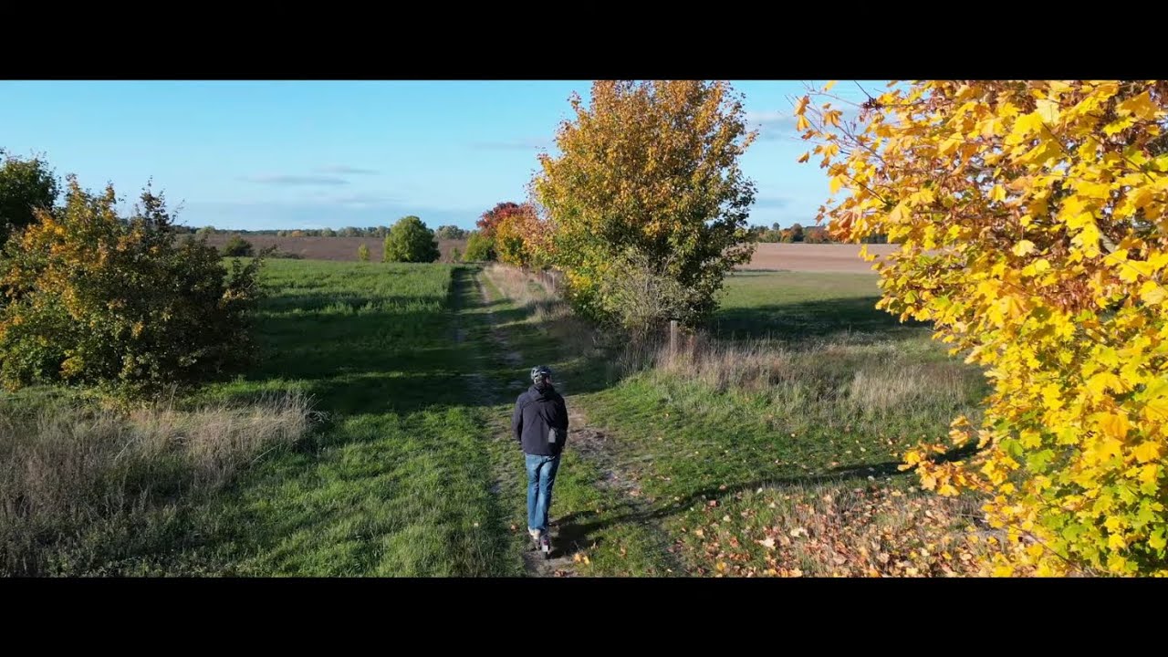 Herbstliche Safari - Faszinierende Verfolgung..Wald&Wiese..mit Drohne Dji Mini 3 Pro & Odys Neo E100