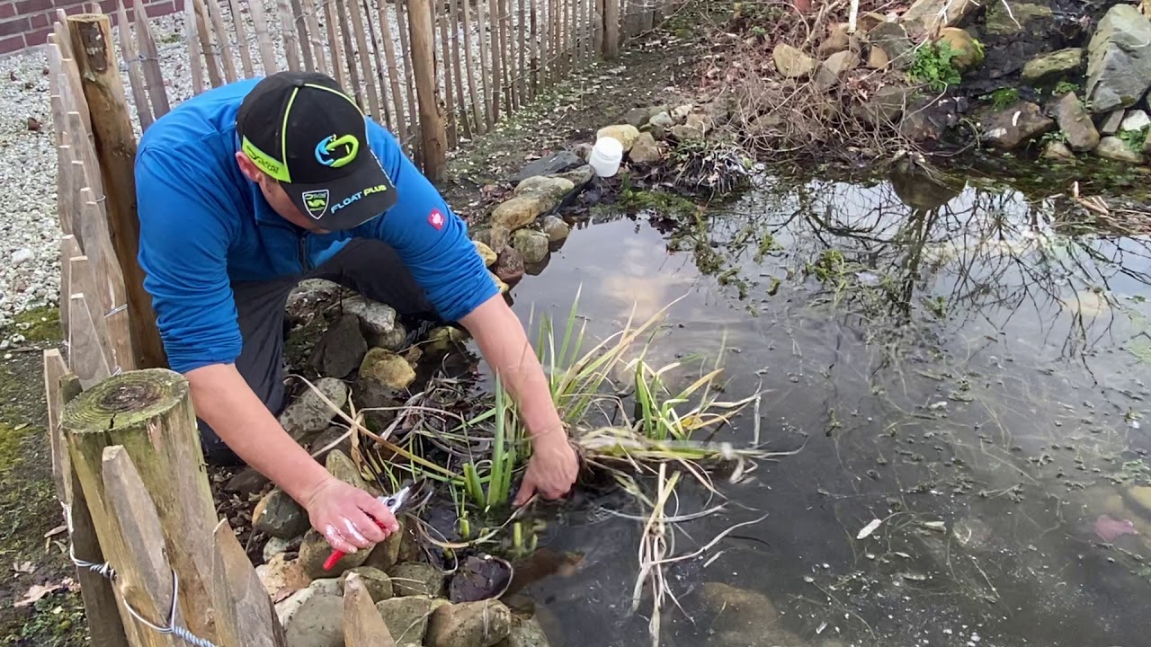 Natuurvijver onderhoud Februari