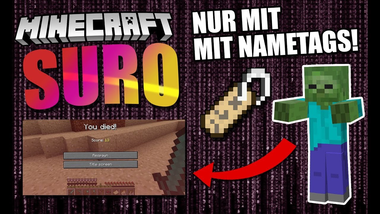 Der Bug in SURO und die Arroganz vom Projekt Leiter Halbzwilling