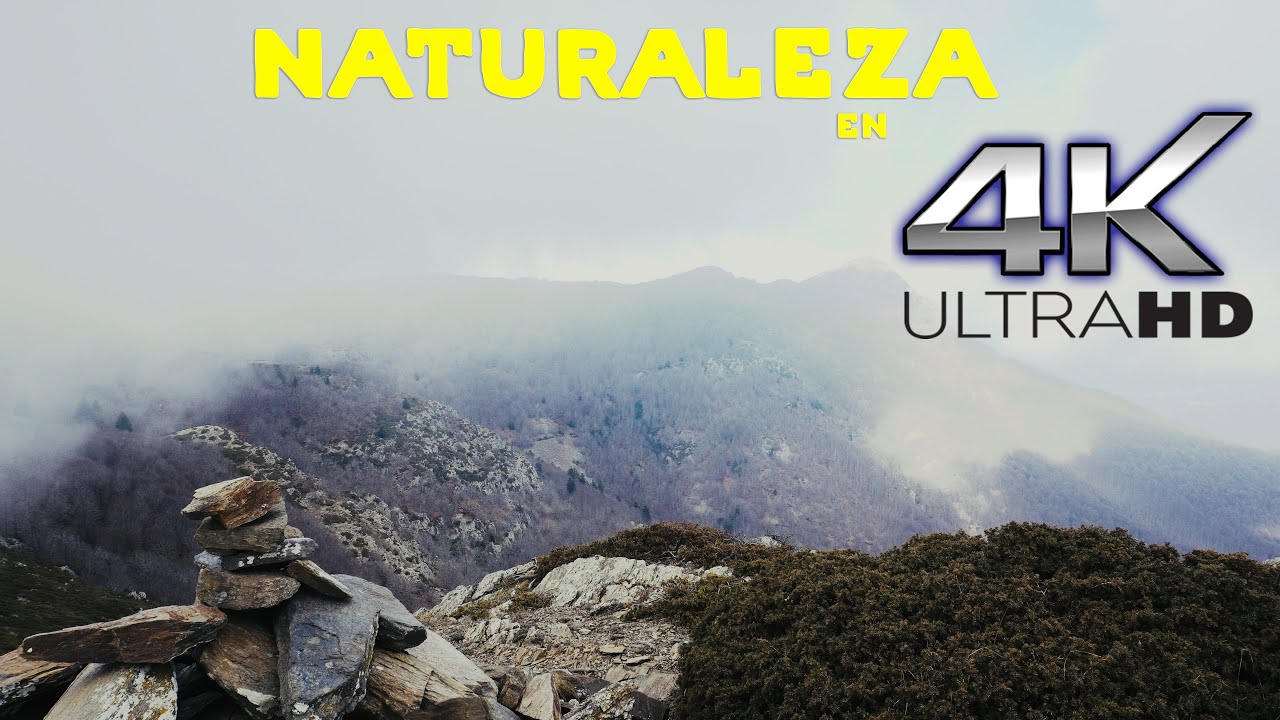 4K HDR - WALKING NATURE, Turó de l´home, Montseny, Barcelona #turodelhome #desansiedad #montseny