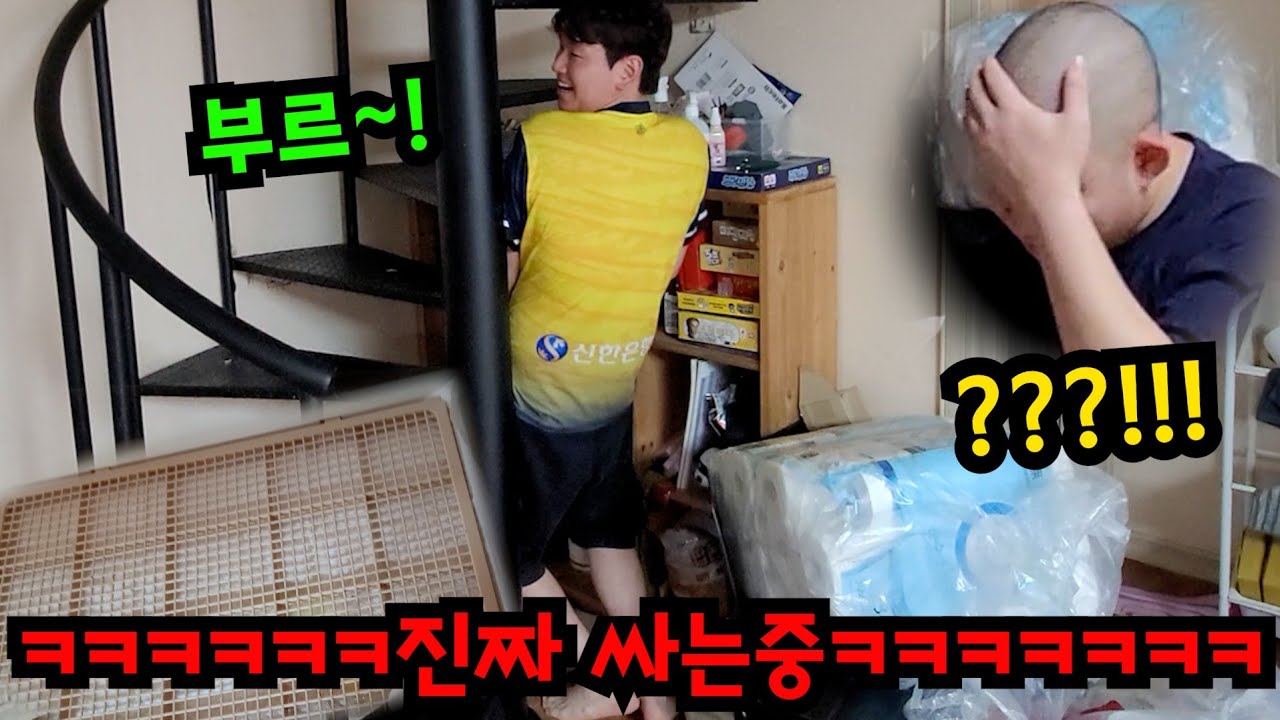 개 배변패드에 오줌싸고 발뺌하기ㅋㅋㅋ