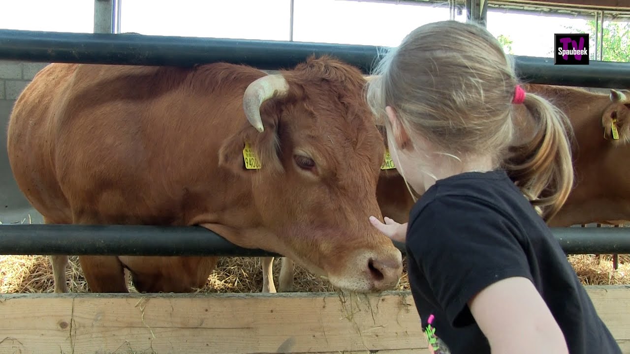 Boerderij-kijkdag 2024 (Boerderij Janssen Spaubeek)