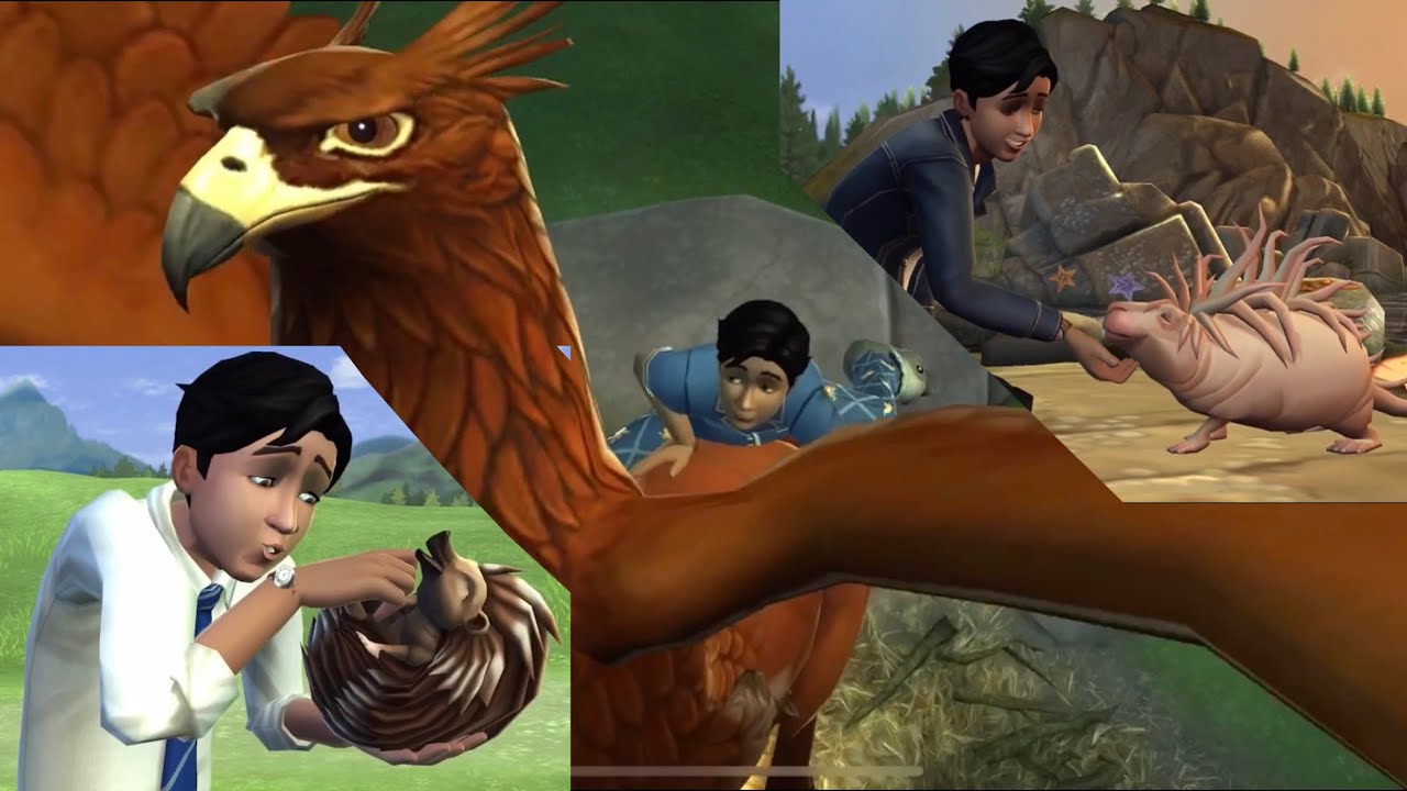 Magical Creatures Interaction Montage - Harry Potter Hogwarts Mystery