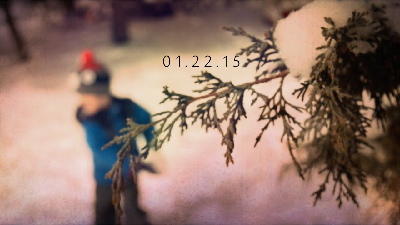 Lowercase Noises - 01.22.15 - Venesection
