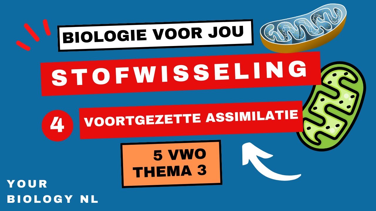 5 vwo | Stofwisseling | 4 | Voortgezette assimilatie & vouwing van eiwitten