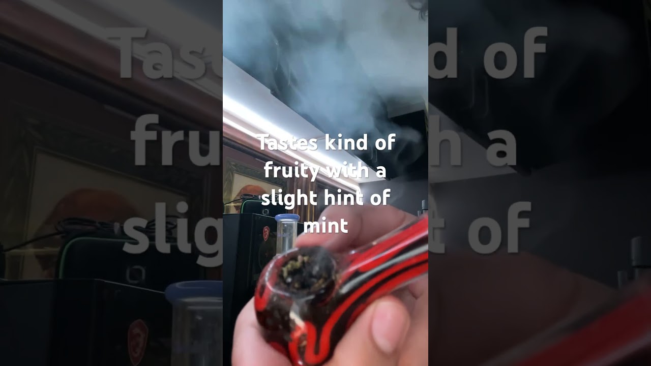 Strain review: Apple Mintz