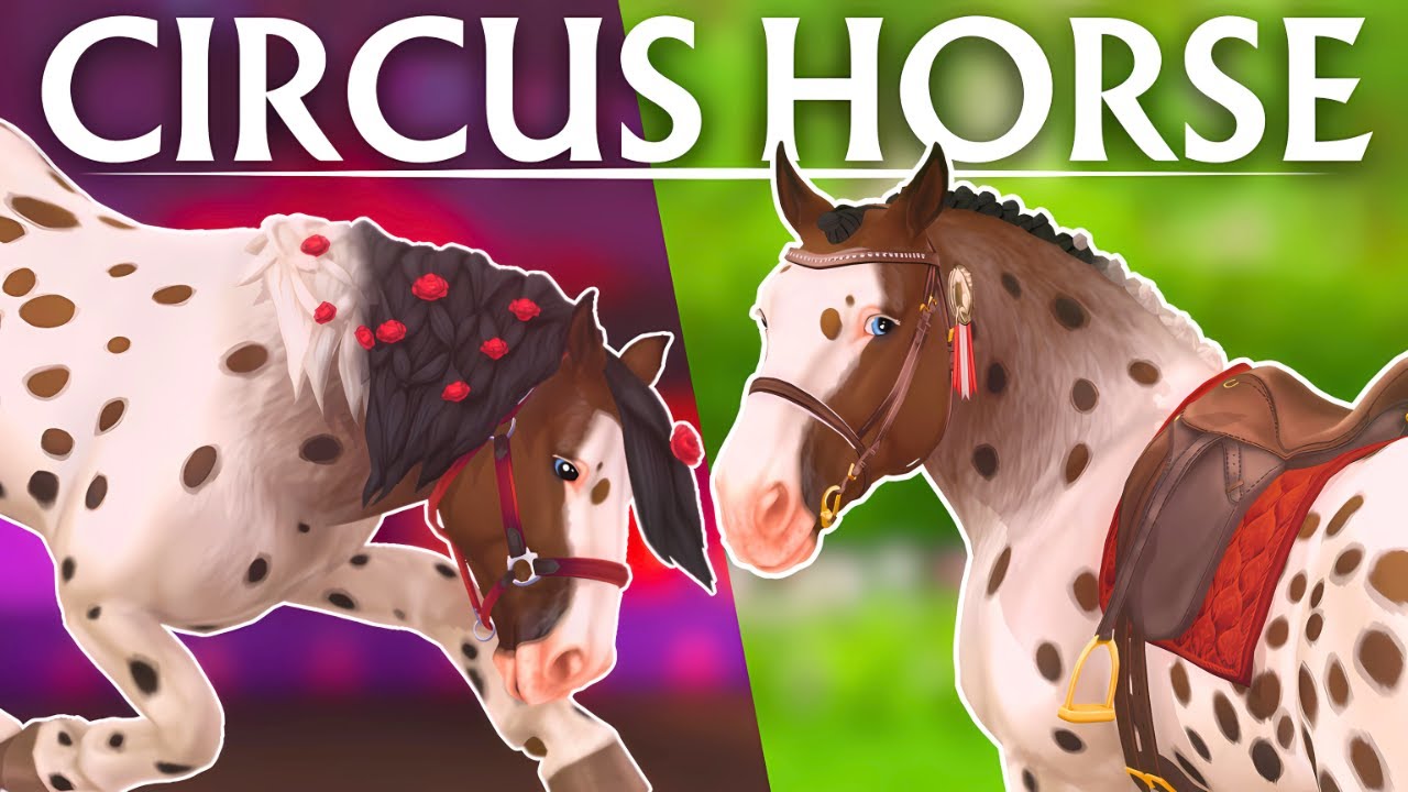Цирковая лошадь: от артиста к партнёру | Фильм Star Stable