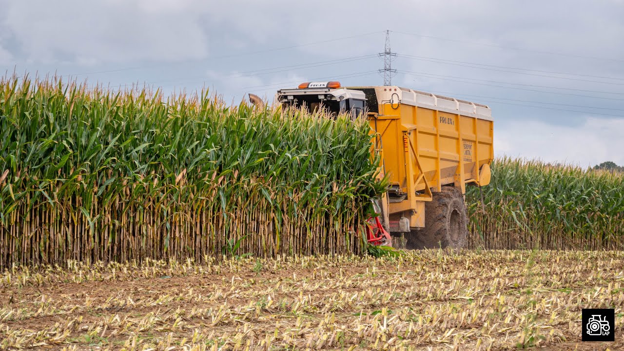 Ensilage 2021 - Pro DX II - John Deere 6820 (PURE SOUND) au silo