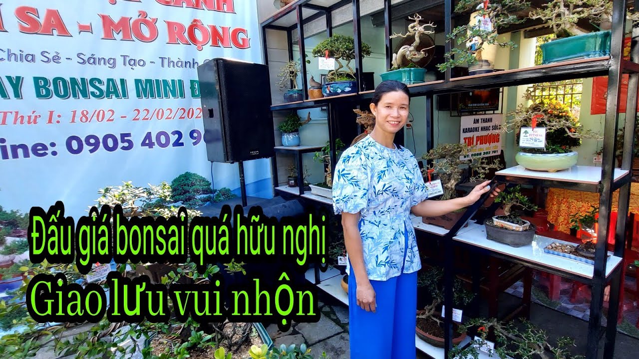 Cực kỳ hấp dẫn và vui nhộn với buổi trưng bày giao lưu bonsai hội svc Huỳnh Sa,Tuy Phước, Bình Định