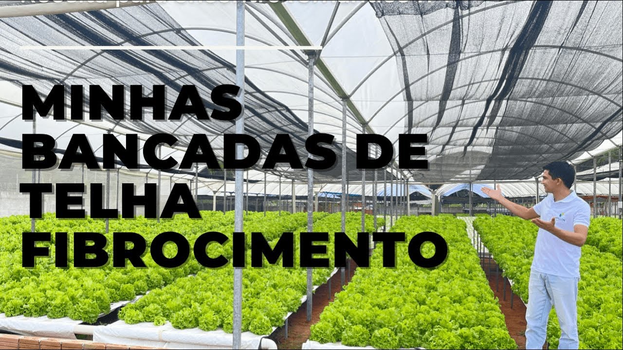 Como cultivar em altas temperaturas e com menor custo: Telha de fibrocimento - Hidroponia