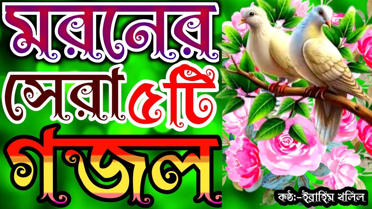 খুব দুঃখের বিরহের সুরে সকলের মন জয় করা ৫টি গজল | gojol | new gojol | new islamic song | gojol bangla