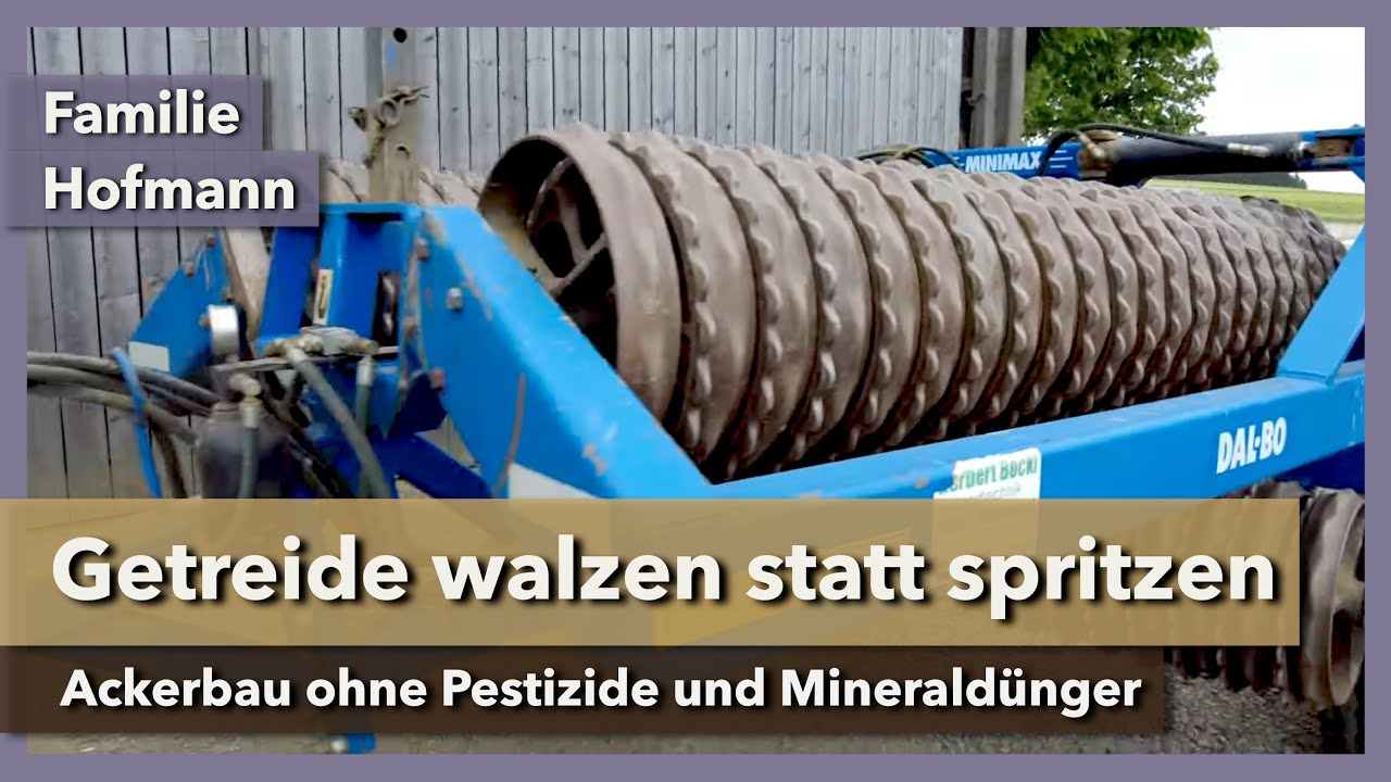 Getreide walzen statt spritzen - Ackerbau ohne Pestizide | Familie Hofmann | Rundgang 2 | 2022