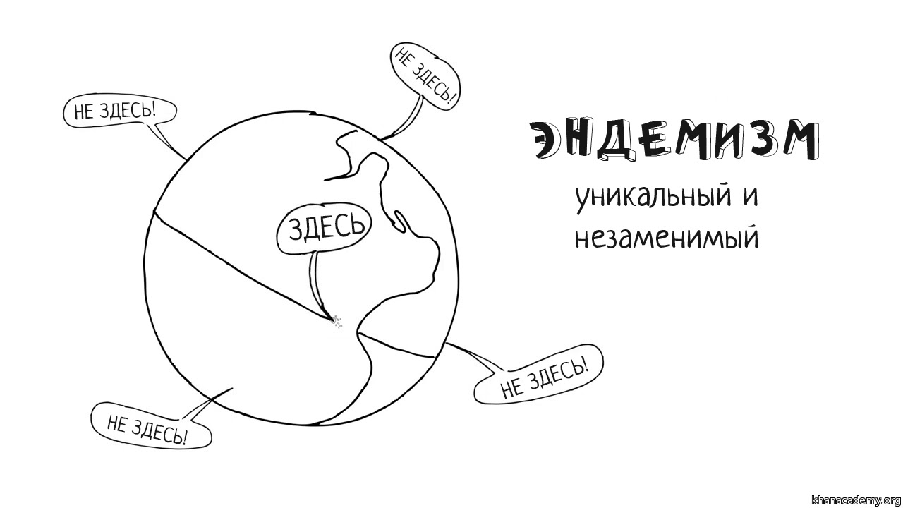 Что такое «горячая точка биоразнообразия»? (часть 2) | Биоразнообразие