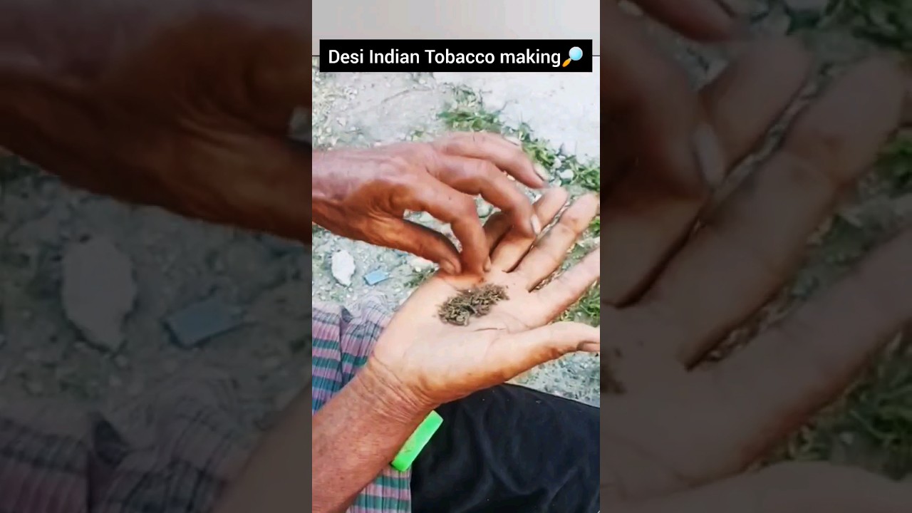 Desi Indian Tobacco making🔎 #desi #indian #tobacco #villagelife #viral #trending  #health #top