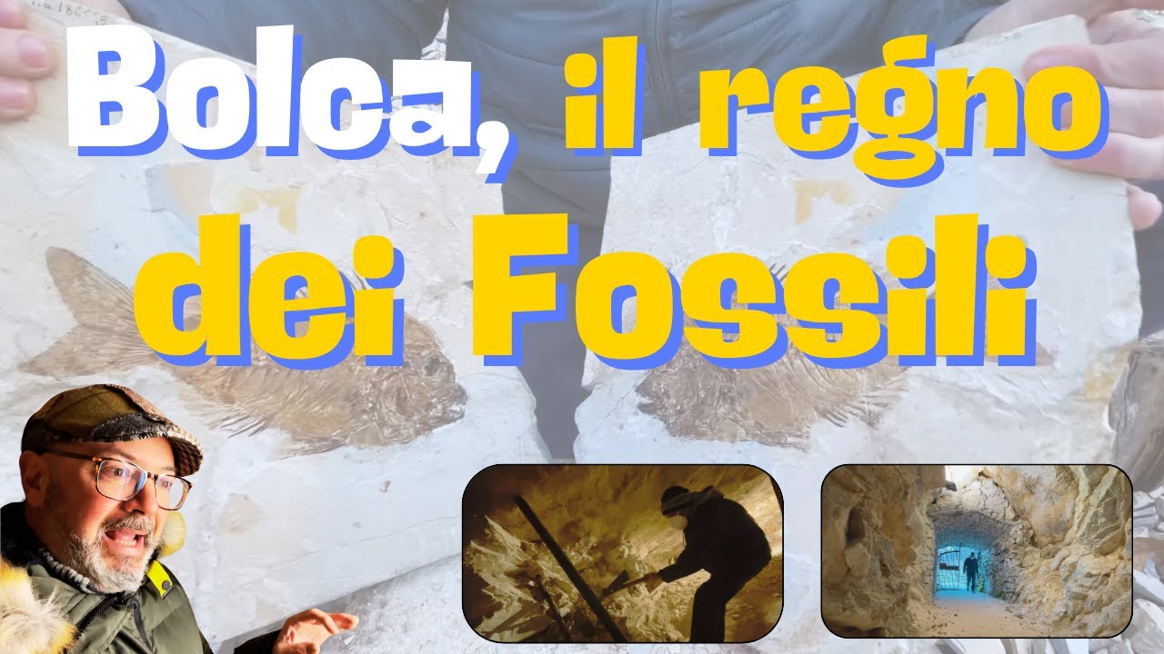 Bolca,  una Storia lunga 50 Milioni di Anni