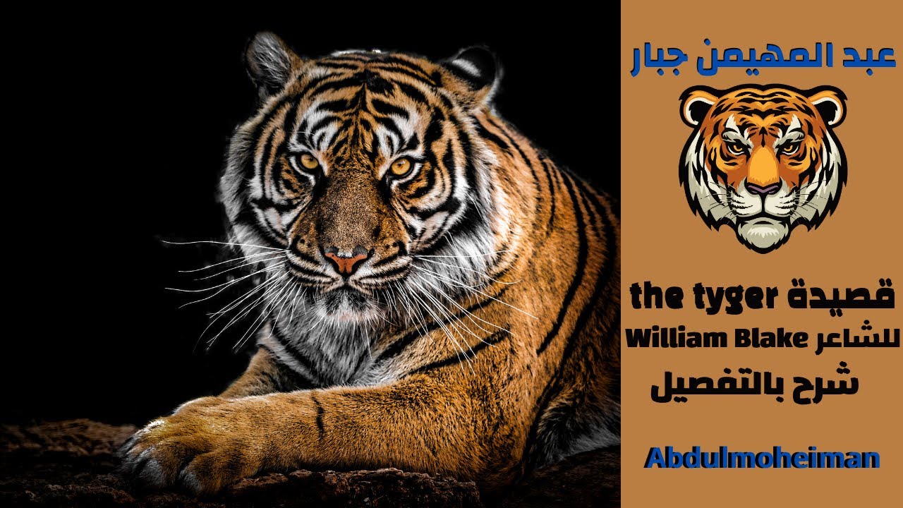 شرح قصيدة النمر للشاعر ويليام بليك The Tyger by William Blake بالتفصيل