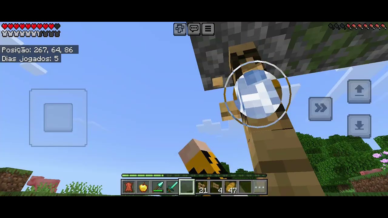 Terceiro episódio de Minecraft
