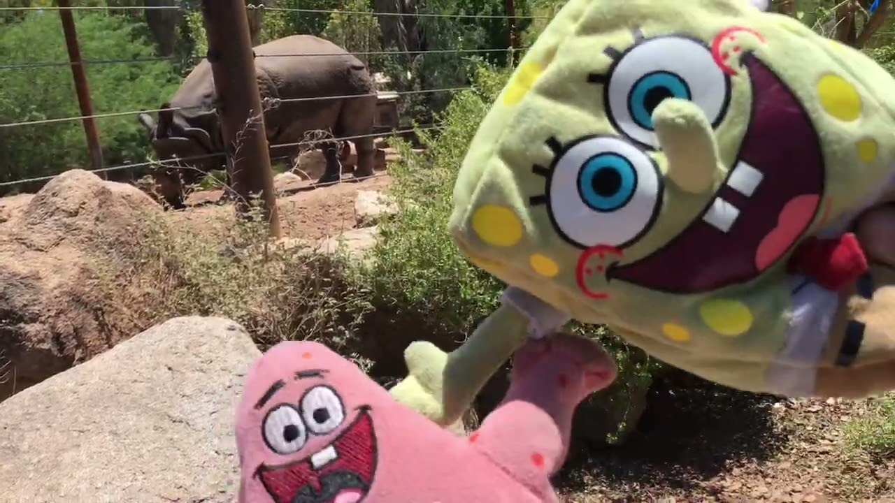 SpongeBob and Patrick go to the Phoenix Zoo