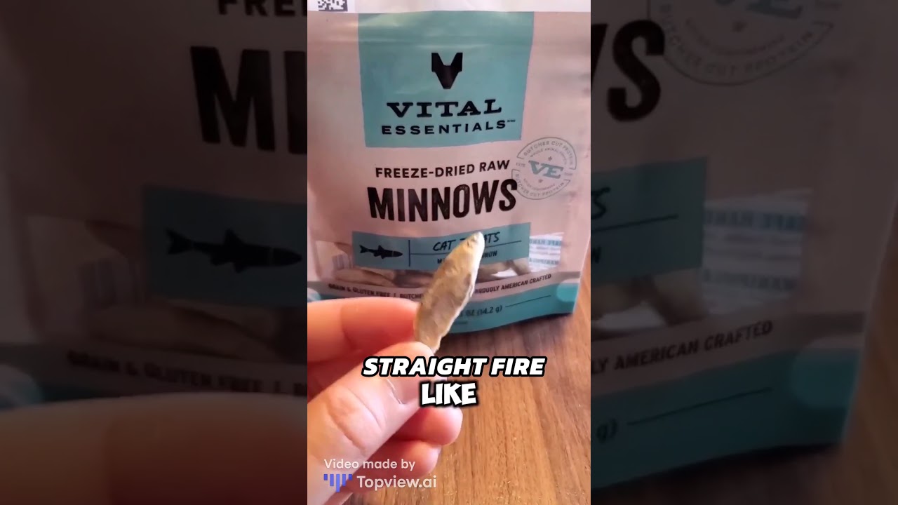 Vital Essentials Freeze Dried Raw Cat Treats