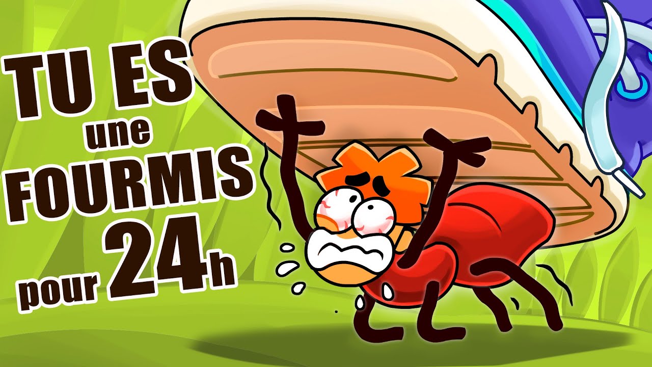 Et Si Tu Devenais Une Fourmis Pendant 24 Heures?