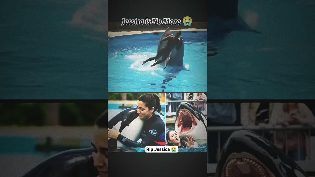 #rip #jessica #sad #emotional #viral #video #status #whatsapp 🥹😭