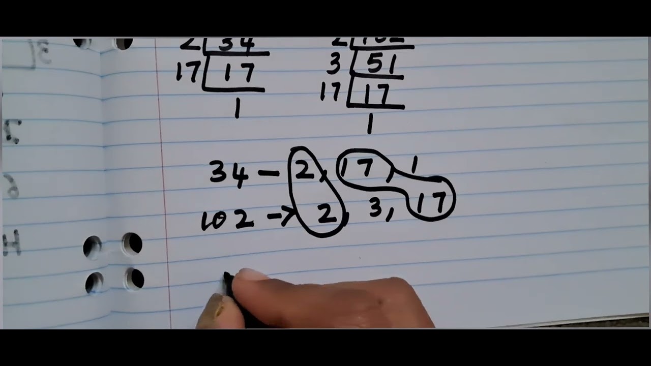 Maths Class 6 || Playing with numbers|| Ex.3.6 Find the H.C.F of the following