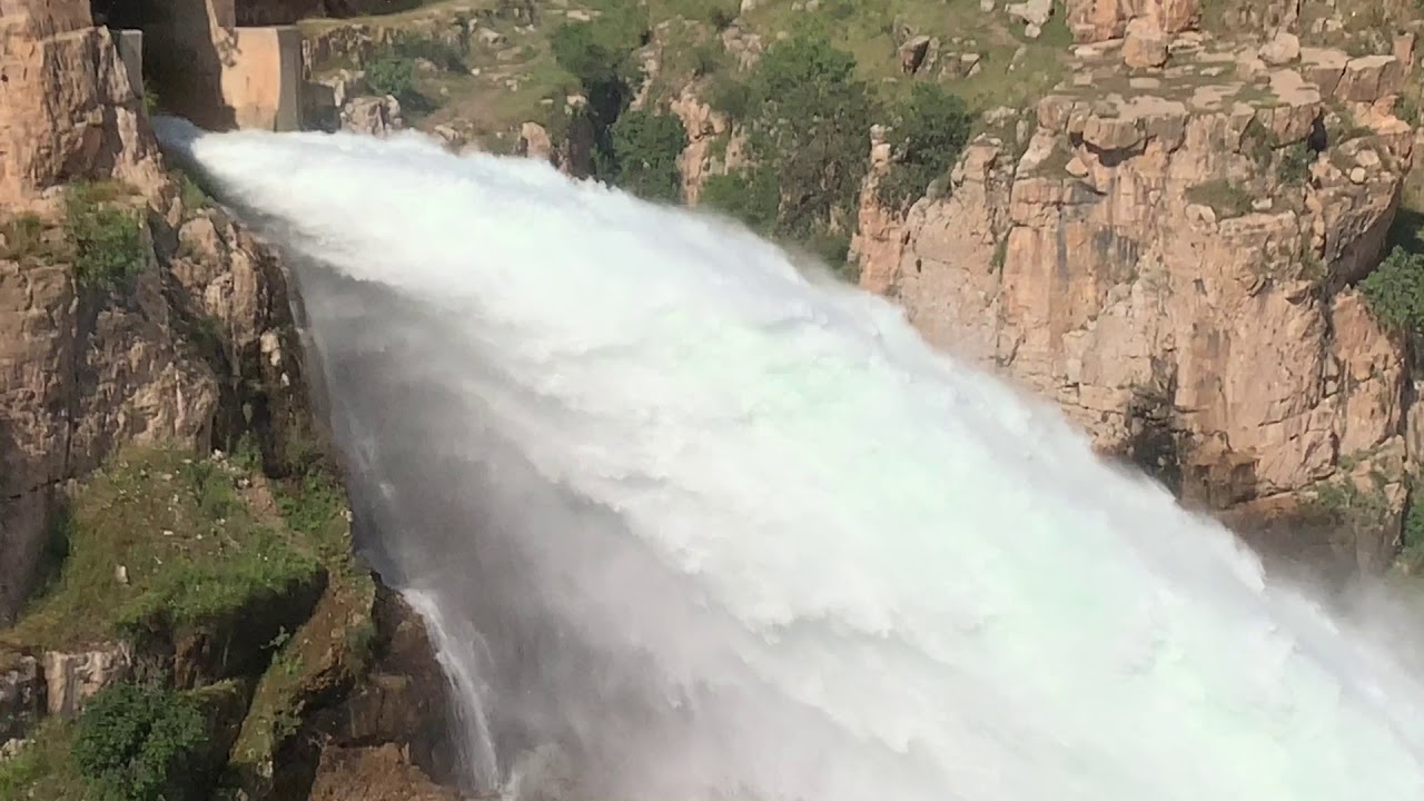 May 11, 2019 شاخى سارا ، دوكان بيل ماوس