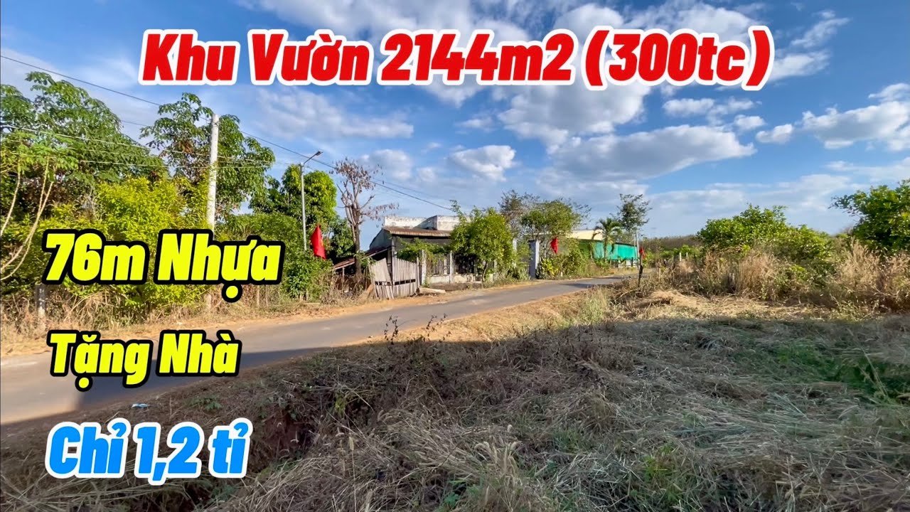 Bán Nhà Vườn 2144m2 có 300m2 thổ cư. 76m lộ nhựa. Điều sắp cho thu. Chỉ 1,2 tỉ.