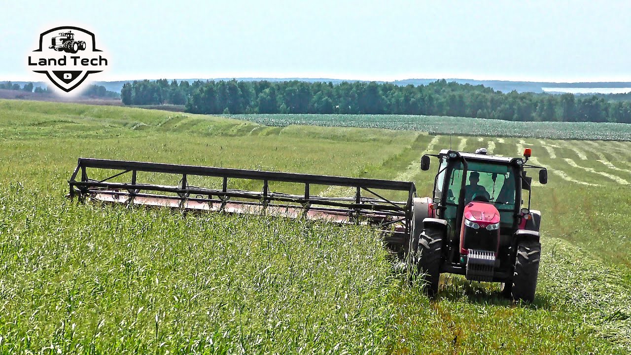 Трактор Massey Ferguson 6713 работает с прицепной жаткой ЖВЗ-7 ПОЛЕСЬЕ. Суданская трава на сенаж.