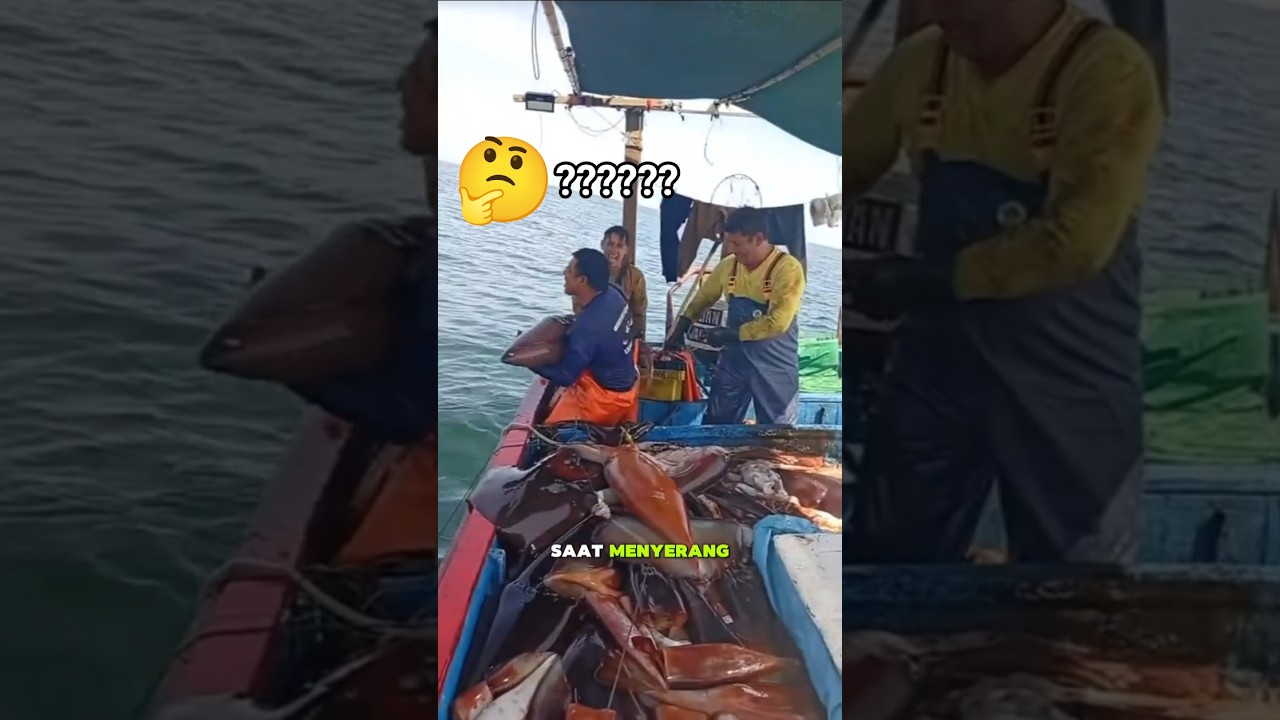 this is what a giant squid looks like 