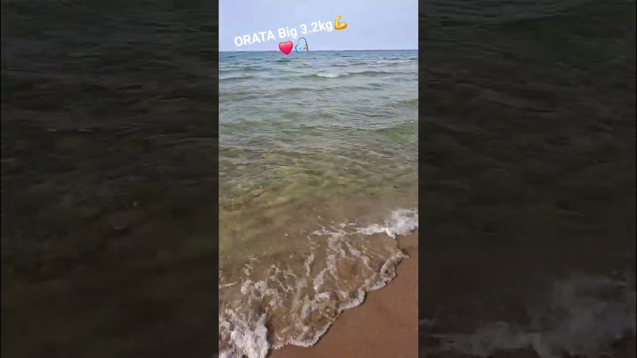 Orata Big 3.2kg innesco granchetto di sabbia 🎣❤️
