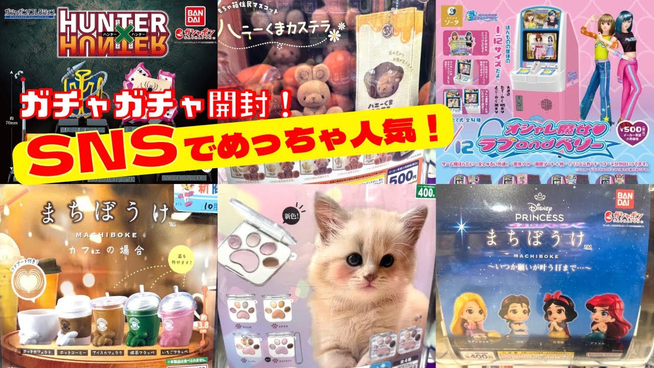 【ガチャガチャ】SNSでバズり中！？かなり話題になってるウワサのガチャ開封！ラブベリ/プリンセス