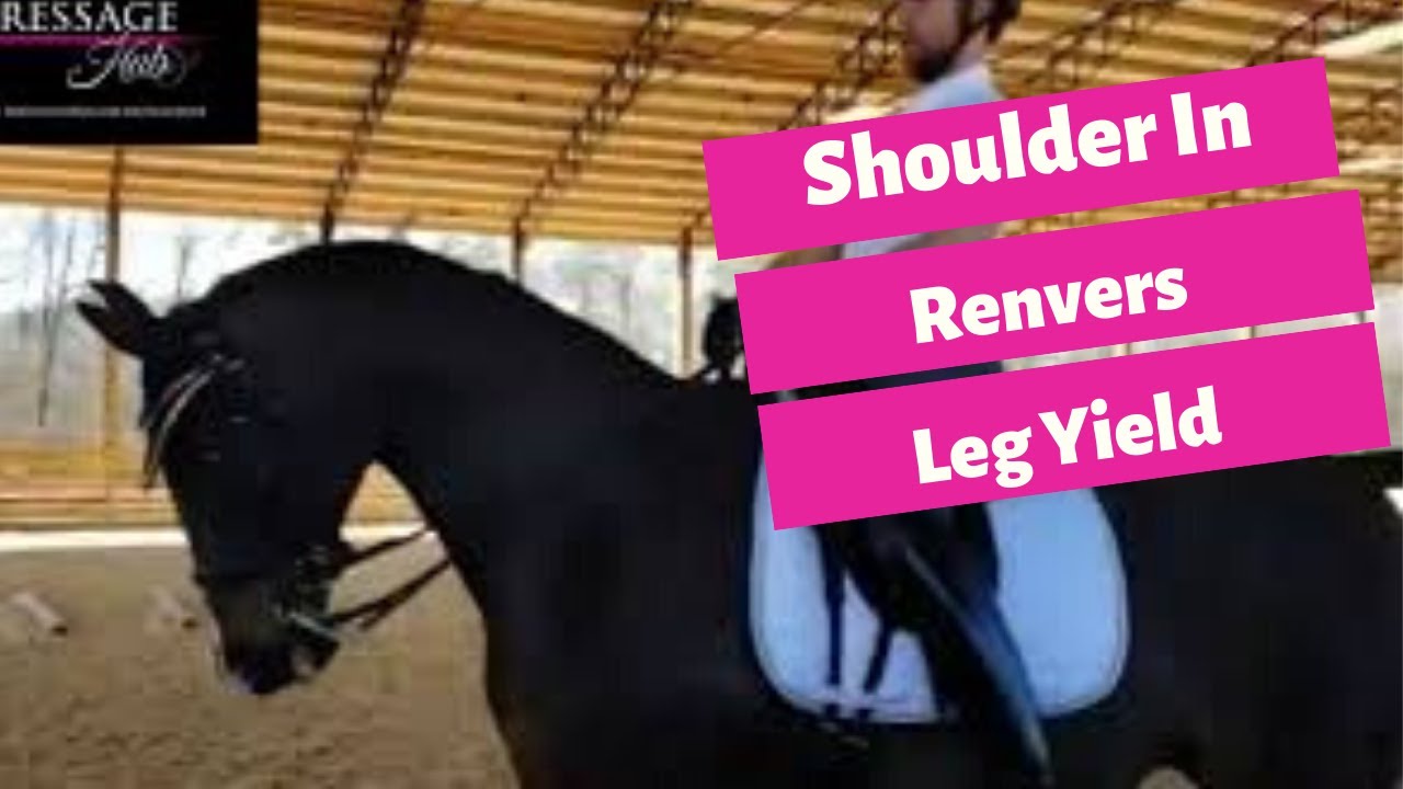 Shoulder In, Renvers To Leg Yield With Conrad Schumacher