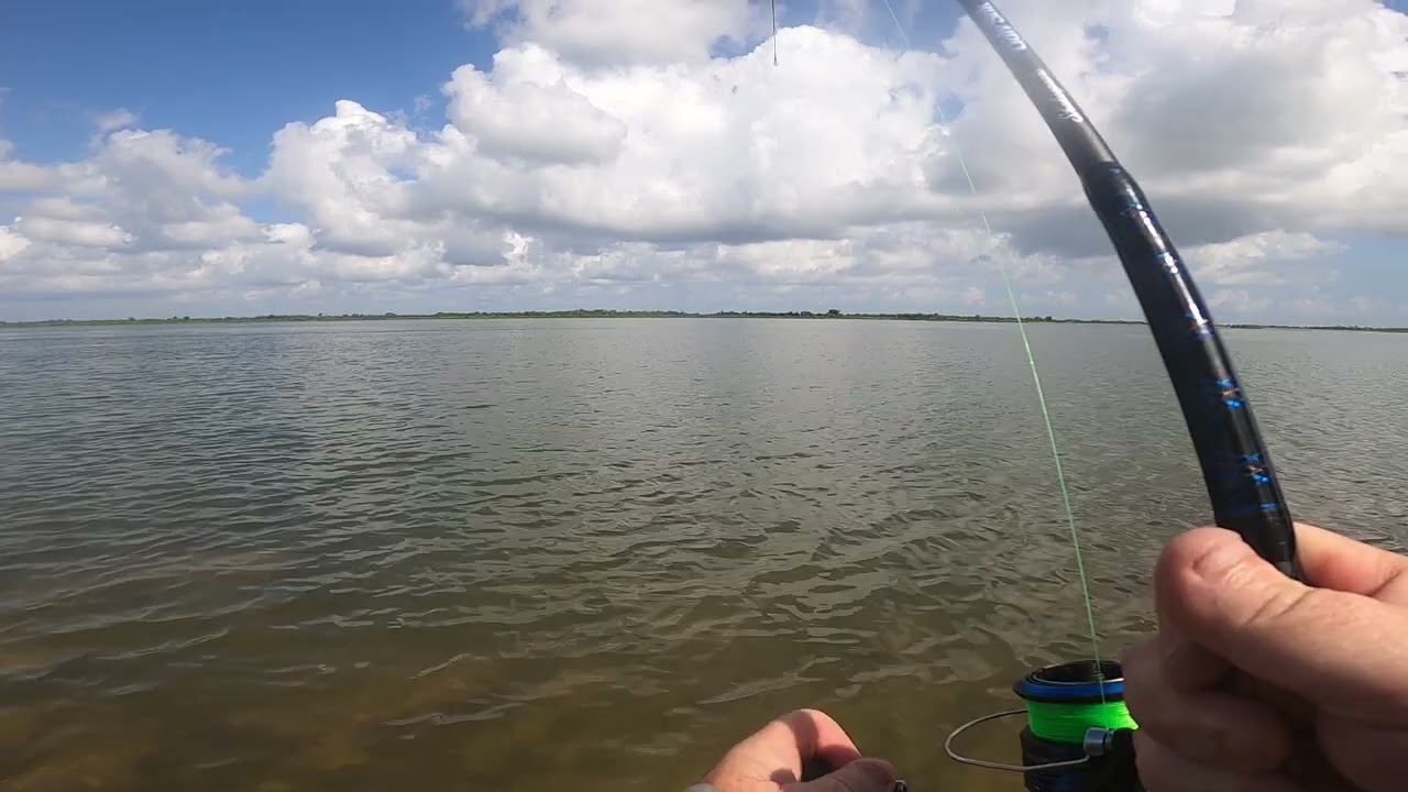 another black drum