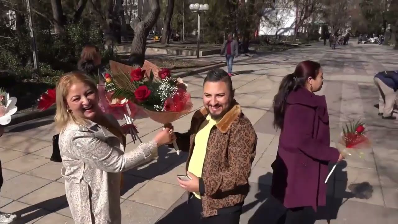 ISPISVANE  GULBEAZ  DALGOPOL