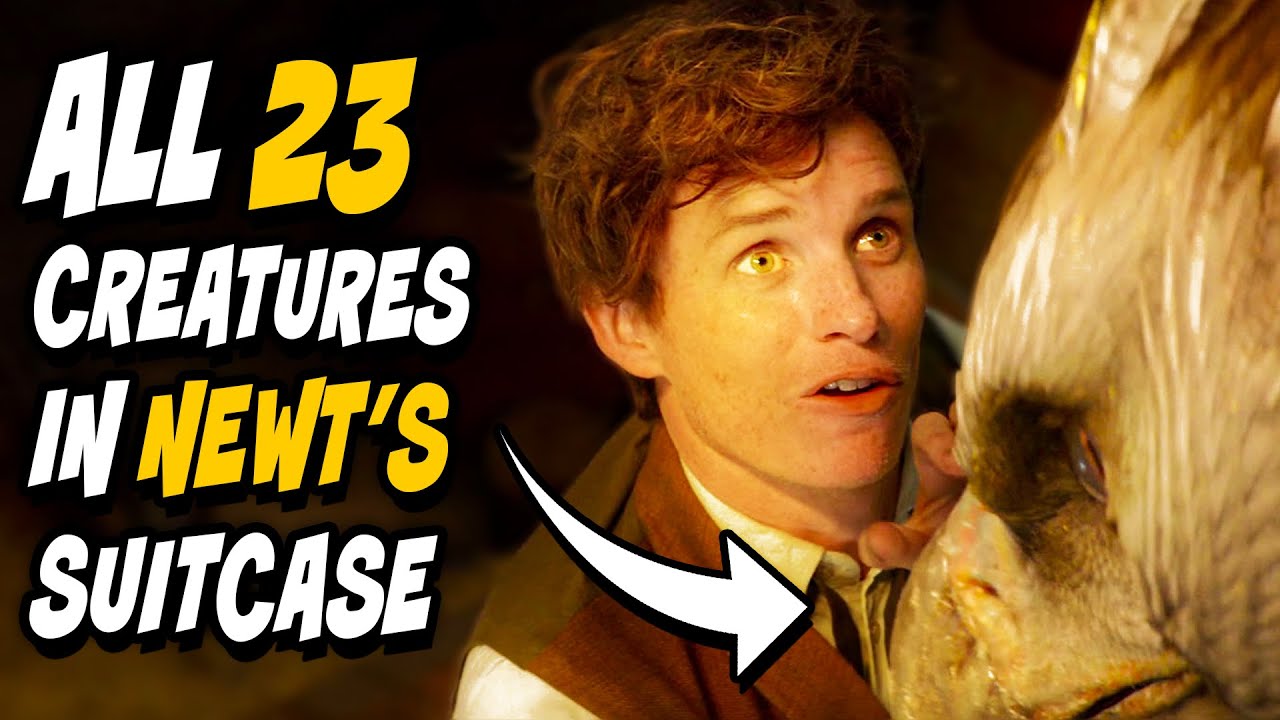 ALL 23 Creatures & 15 Habitats Inside Newt's Suitcase (+How it WORKS) - Harry Potter Explained
